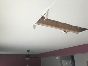 img_0179
