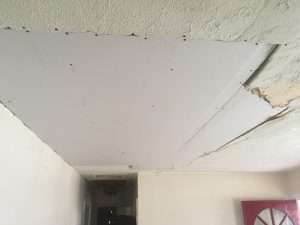 Plaster Ceiling Repair Benjamin Moore Drywall